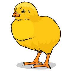 Chick learn birds educational game PNG illustration