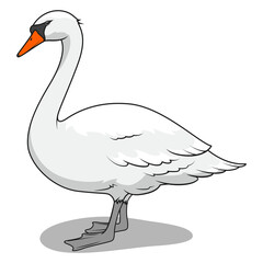 Swan learn birds educational game PNG illustration