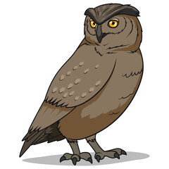 Owl bird learn birds educational game PNG illustration