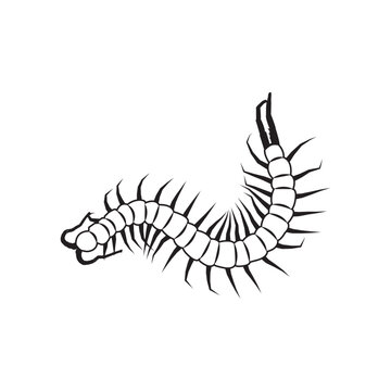 black centipede crawling on white background clip art preview