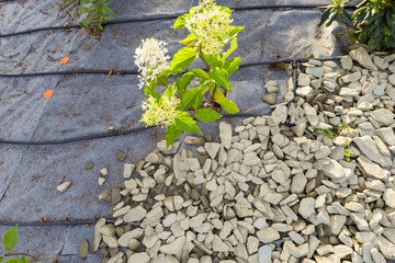 Black Irrigation Pipes for Garden Watering System