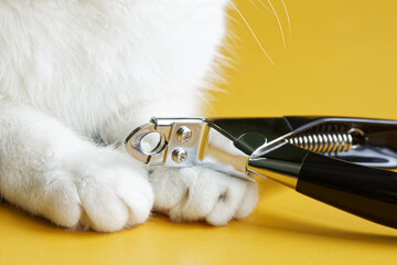 Scissors for trimming pet claws next to the fluffy white cute paws of a cat. Yellow background....