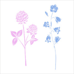 Vector clover and bluebell. Hand painted flower. Graphic trefoil isolated on background. Botanical and wedding illustration. For designers, invitations, decoration, po