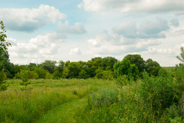 Green Field and Trees on Cloudy Day