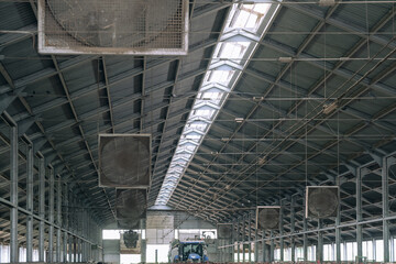Indoors structire of cowshed hangar on a cattle farm. Roof light aeration lantern.