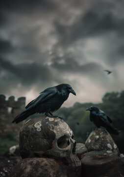 Ravens perched on a skull amid a gloomy landscape. Generative AI image