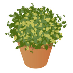 Blumentopf - Isometrische Ansicht