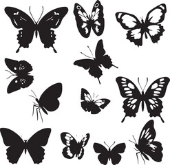 butterfly Set on white background