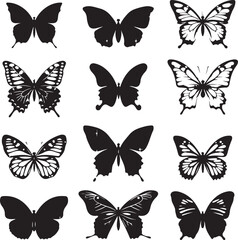butterfly Set on white background