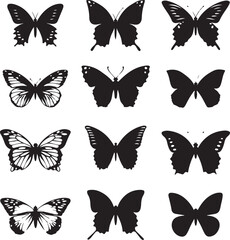 Obraz premium butterfly Set on white background