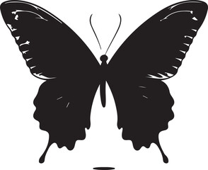 butterfly on a white background