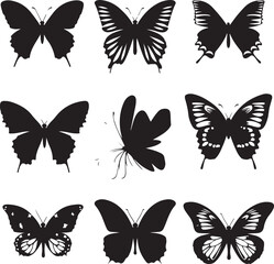 butterfly on a white background