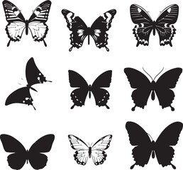 butterfly on a white background