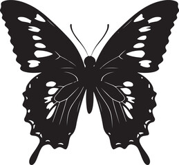 butterfly on a white background