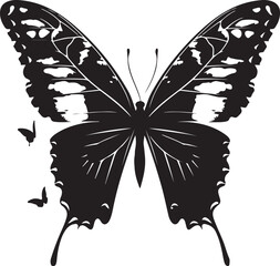 butterfly on a white background