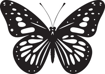 butterfly on a white background