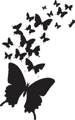 butterfly on a white background