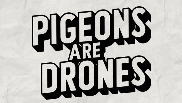 Pigeons Are Drones , Bold Typographic Design , Satirical Statement