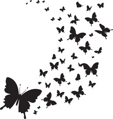 butterfly on a white background