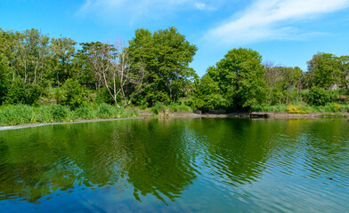 Green lake reflecting the trees on its bank on a sunny day