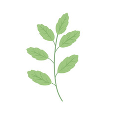Illustration of Branching Leaves Branched Leaf Decoration