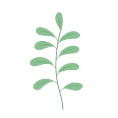 Illustration of Branching Leaves Branched Leaf Decoration