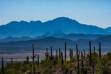 The view across the Sonoran Desert toward Kitt Peak National Observatory showing the layers of...