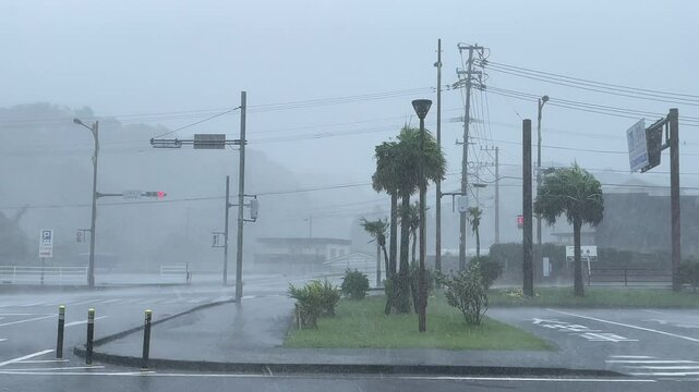 Strong Wind And Heavy Rain As Hurricane Makes Landfall Over Town - Nanmadol