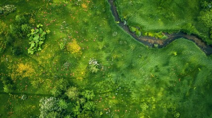 Obraz premium Aerial View of Lush Green Meadow with Wildflowers by Stream - Generative AI