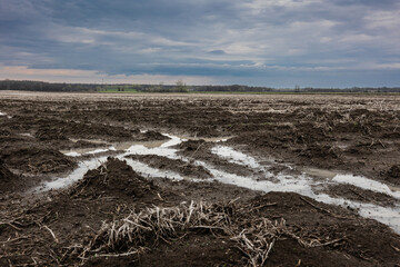 A muddy field with a puddle in the center surrounded by grass