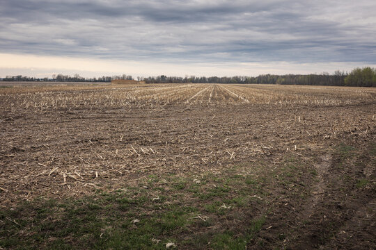 A spring field with a puddle in the center surrounded by grass
