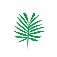 Green leaf vector icons, diverse leaf shapes for environmental, organic themes. Perfect for nature inspired designs, natural aesthetics, eco friendly and botanical branding