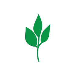 Green leaf vector icons, diverse leaf shapes for environmental, organic themes. Perfect for nature inspired designs, natural aesthetics, eco friendly and botanical branding