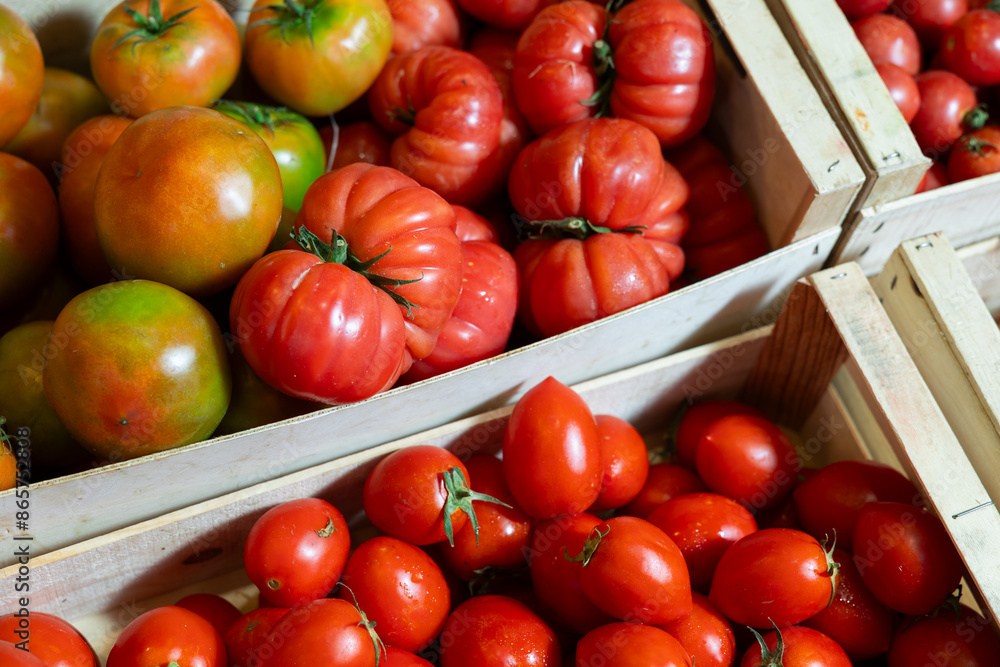 Wall mural pile of fresh tomatoes lies on counter in vegetable store