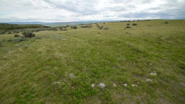 Ancient Teepee Rings At Cultural Site