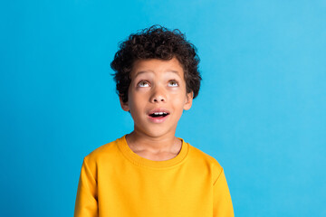 Portrait of cute small schoolkid look up empty space wear pullover isolated on blue color background © deagreez