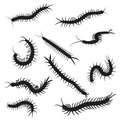 Centipede Vector Art Silhouette Bundle