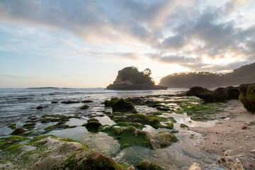 Beautiful beach view with coral, sea panorama