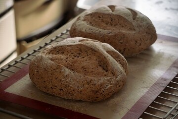 freshly baked whole wheat sourdough bread