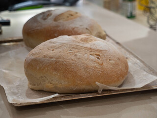 freshly baked homemade sourdough bread