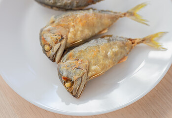 fried asian mackerel on white dish, thai food culture, pla too, fried Indo-Pacific mackerel