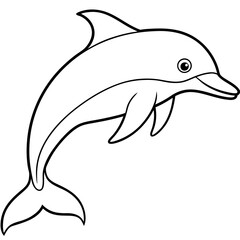 dolphin isolated on white background