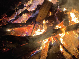 A campfire burning outdoors in the autumn
