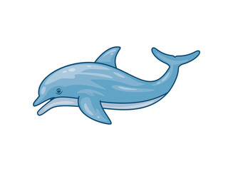 blue dolphin sea life