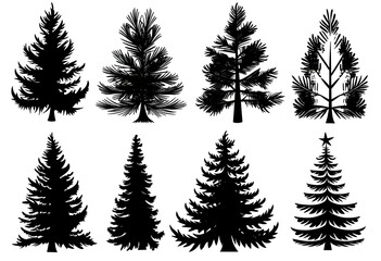 pine tree silhouette set, black on white background. Pine trees collection