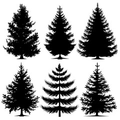 Obraz premium pine tree silhouette set, black on white background. Pine trees collection 