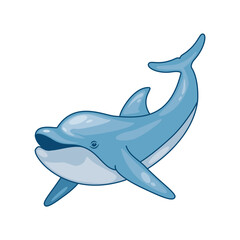 aquatic animal dolphin cute