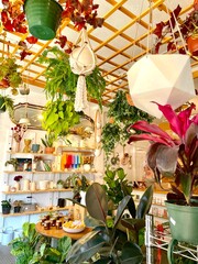 Flower and plant shop 