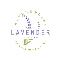 Lavender Logo Elegant Purple Flower Plant Illustration Floral Ornament Design