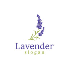 Lavender Logo Elegant Purple Flower Plant Illustration Floral Ornament Design